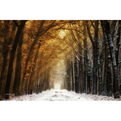 Autumn to Winter Gold Ornate Wood Framed Art Print with Double Matting by Podt, Martin
