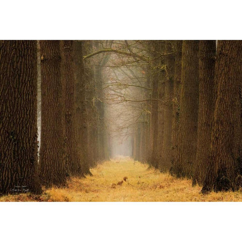 Yellow Path Gold Ornate Wood Framed Art Print with Double Matting by Podt, Martin
