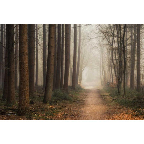 Quiet White Modern Wood Framed Art Print by Podt, Martin