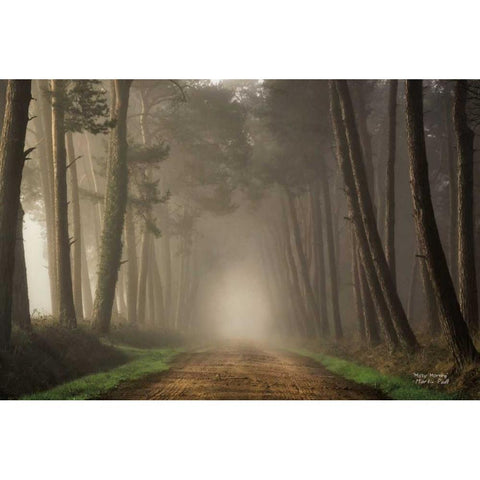 Misty Morning Gold Ornate Wood Framed Art Print with Double Matting by Podt, Martin