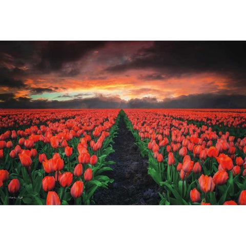 Endless Fields Black Modern Wood Framed Art Print by Podt, Martin
