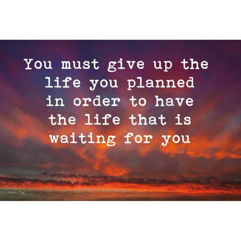 Life Black Modern Wood Framed Art Print by Podt, Martin