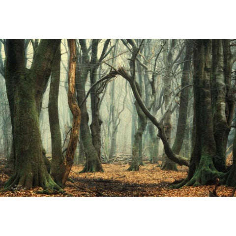 Broken Black Modern Wood Framed Art Print by Podt, Martin