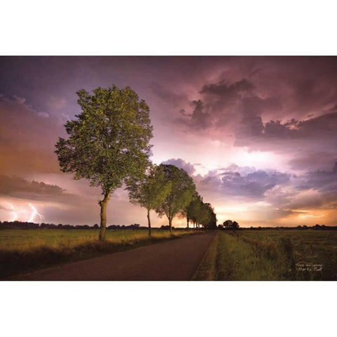 Trees and Lightning Gold Ornate Wood Framed Art Print with Double Matting by Podt, Martin