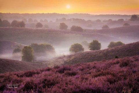 Sunrise Layers White Modern Wood Framed Art Print with Double Matting by Podt, Martin