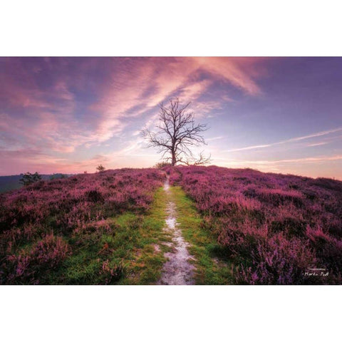 Treemendous Black Modern Wood Framed Art Print with Double Matting by Podt, Martin