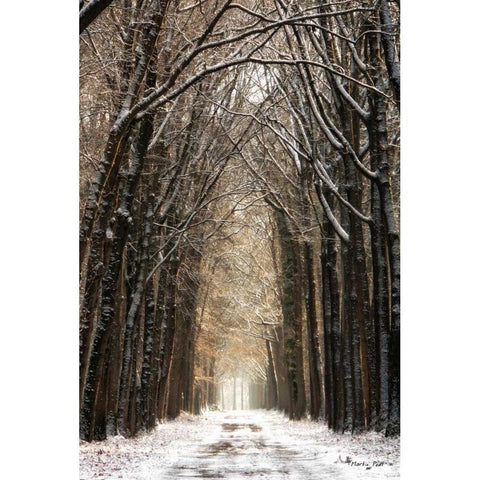 Winter Black Modern Wood Framed Art Print with Double Matting by Podt, Martin