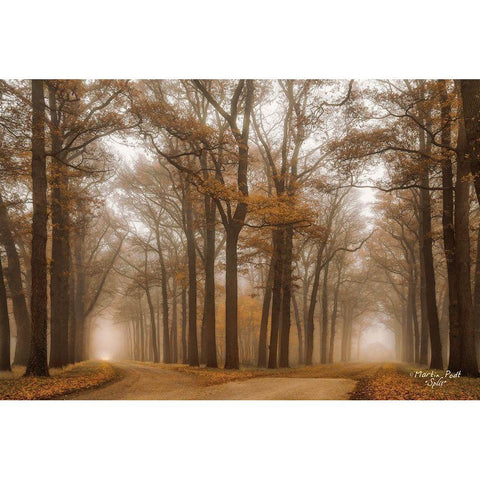 Split Black Modern Wood Framed Art Print by Podt, Martin