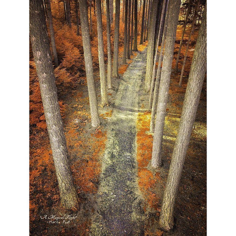 A Magical Flight Black Modern Wood Framed Art Print with Double Matting by Podt, Martin