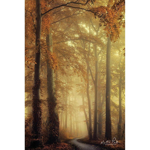 The Path of Liberation Black Modern Wood Framed Art Print by Podt, Martin
