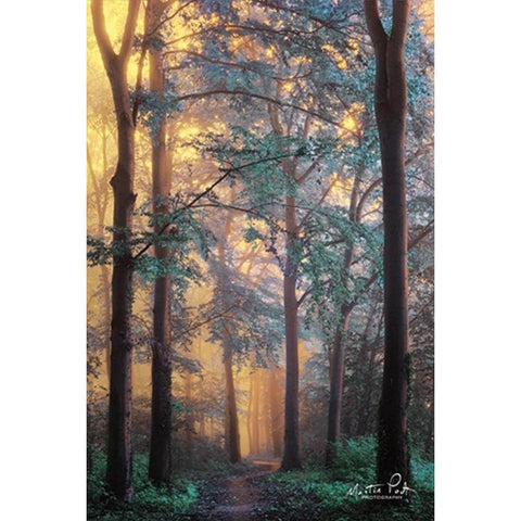 Wonderland White Modern Wood Framed Art Print by Podt, Martin