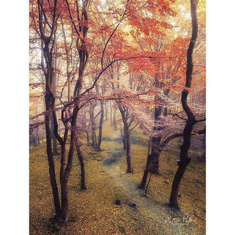 High Up in the Trees Gold Ornate Wood Framed Art Print with Double Matting by Podt, Martin