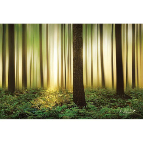 Forest in Motion White Modern Wood Framed Art Print by Podt, Martin