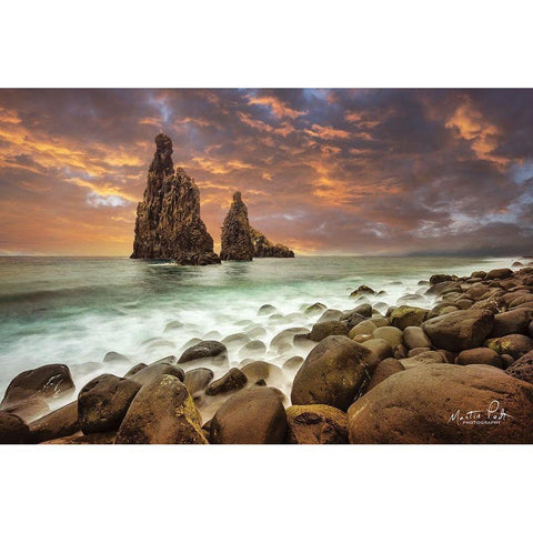 Standing Strong   White Modern Wood Framed Art Print by Podt, Martin
