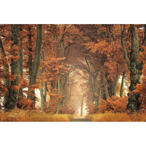 Follow Your Own Way Gold Ornate Wood Framed Art Print with Double Matting by Podt, Martin