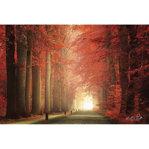 Way to Red           White Modern Wood Framed Art Print by Podt, Martin