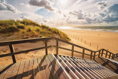 Man Versus Nature     Black Ornate Wood Framed Art Print with Double Matting by Podt, Martin