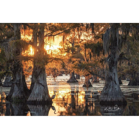 Sunset in the Swamps White Modern Wood Framed Art Print by Podt, Martin