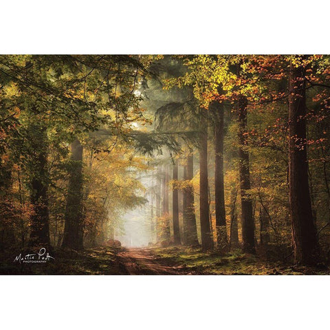 Lush Gold Ornate Wood Framed Art Print with Double Matting by Podt, Martin