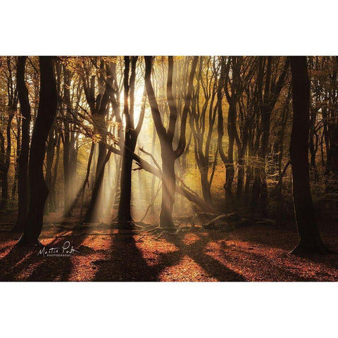 X White Modern Wood Framed Art Print by Podt, Martin