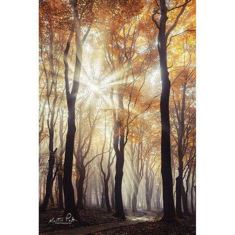 Explosion White Modern Wood Framed Art Print by Podt, Martin