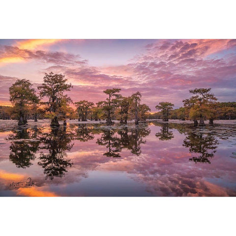 Magnificent Sunset in the Swamps Gold Ornate Wood Framed Art Print with Double Matting by Podt, Martin