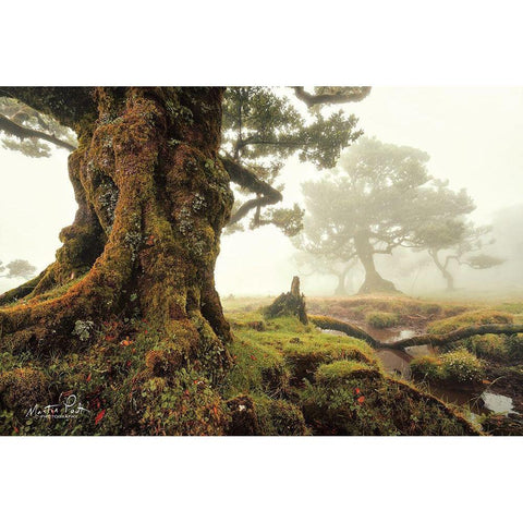 World of Magic Black Modern Wood Framed Art Print with Double Matting by Podt, Martin