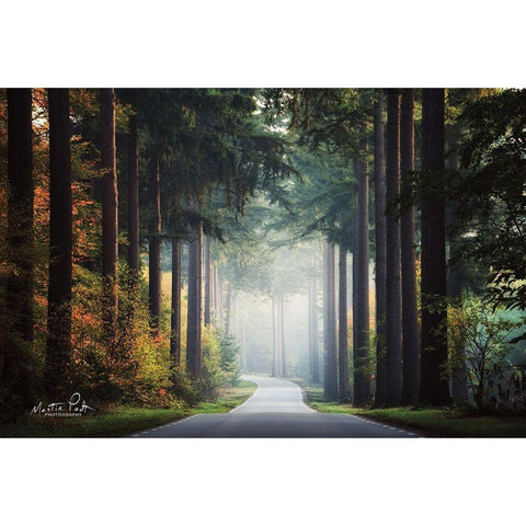 Mysterious Roads    Black Modern Wood Framed Art Print by Podt, Martin