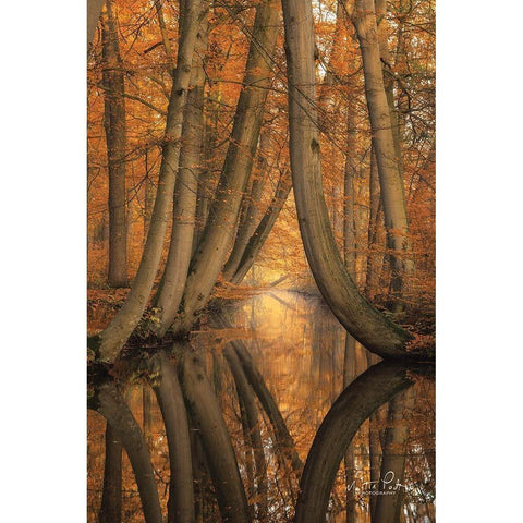 The Bent Ones Gold Ornate Wood Framed Art Print with Double Matting by Podt, Martin