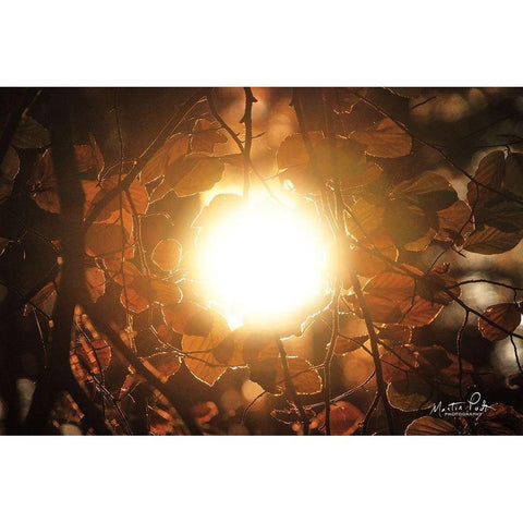 Into the Sun Gold Ornate Wood Framed Art Print with Double Matting by Podt, Martin