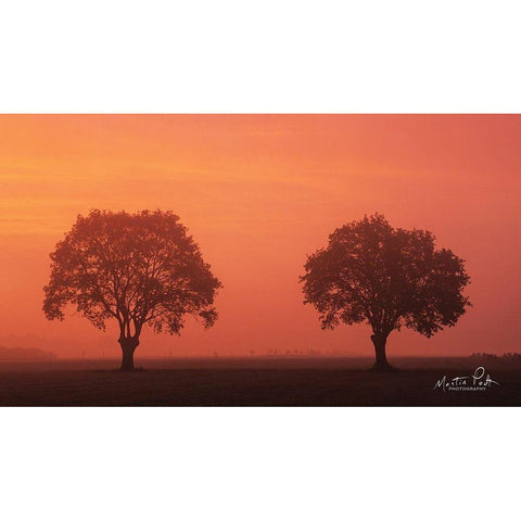 The Couple Black Modern Wood Framed Art Print by Podt, Martin