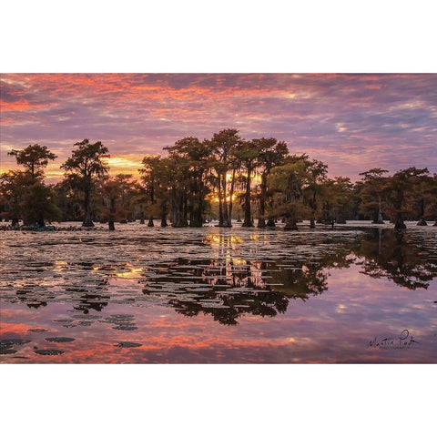 Sundown in the Swamps White Modern Wood Framed Art Print by Podt, Martin
