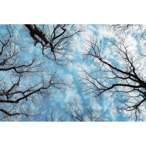 Reaching for the Sky White Modern Wood Framed Art Print by Podt, Martin