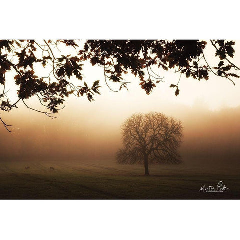 Under the Leaves  Black Modern Wood Framed Art Print by Podt, Martin