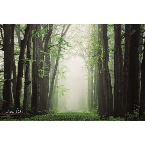 Moisture is the Essence of Wetness    Black Modern Wood Framed Art Print with Double Matting by Podt, Martin