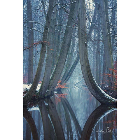 The Bent Ones - Winter Version Black Modern Wood Framed Art Print with Double Matting by Podt, Martin
