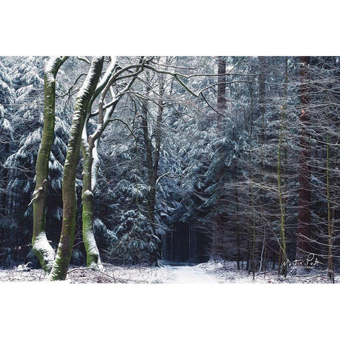 Gate to the Dark World Black Modern Wood Framed Art Print with Double Matting by Podt, Martin