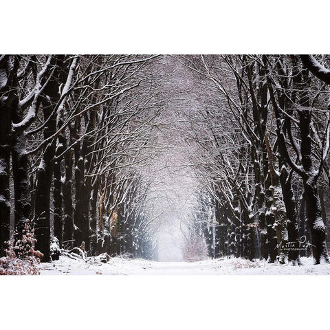 Winter Tunnel White Modern Wood Framed Art Print by Podt, Martin