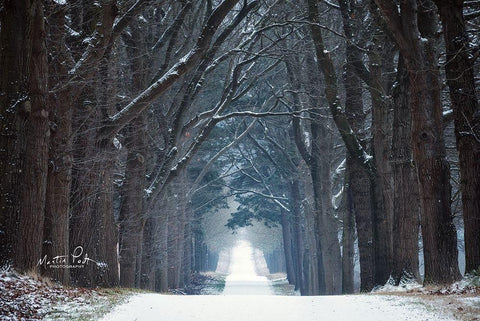 Cold Road White Modern Wood Framed Art Print with Double Matting by Podt, Martin