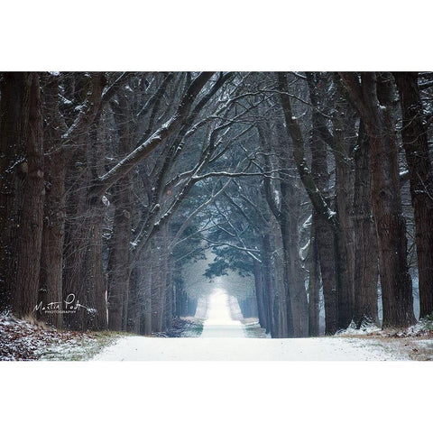 Cold Road White Modern Wood Framed Art Print by Podt, Martin