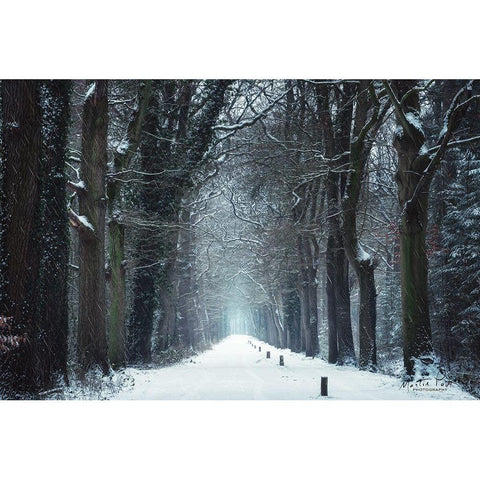 Snow in Markelo Black Modern Wood Framed Art Print with Double Matting by Podt, Martin