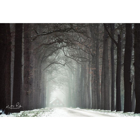 Haunted House White Modern Wood Framed Art Print by Podt, Martin