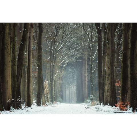 Winer Alley White Modern Wood Framed Art Print by Podt, Martin