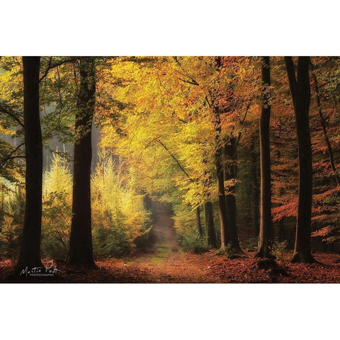 Autumn Mood Black Modern Wood Framed Art Print with Double Matting by Podt, Martin