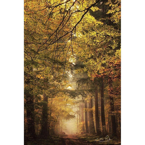 Memories of the Past Black Modern Wood Framed Art Print by Podt, Martin