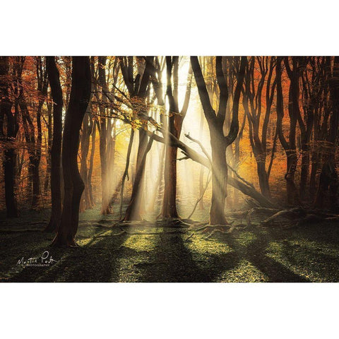 The Awakening Gold Ornate Wood Framed Art Print with Double Matting by Podt, Martin