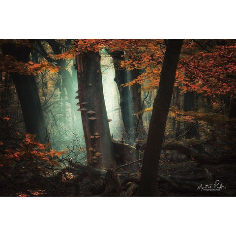 Beautiful Mess Black Modern Wood Framed Art Print with Double Matting by Podt, Martin