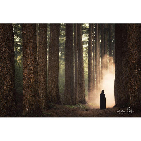 Ruben II Black Modern Wood Framed Art Print by Podt, Martin