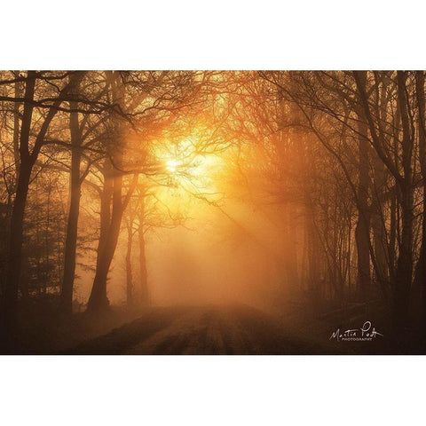 Misty Sunrise Black Modern Wood Framed Art Print by Podt, Martin