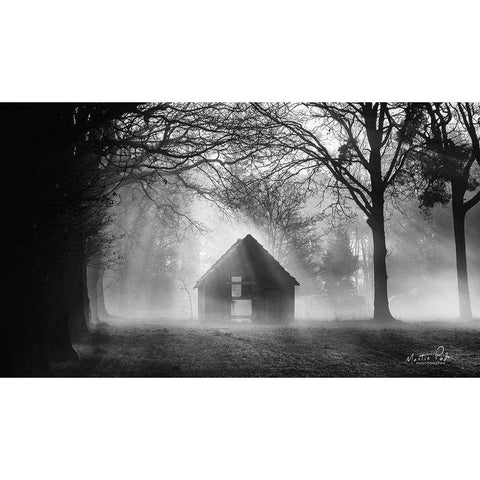 The Shed White Modern Wood Framed Art Print by Podt, Martin
